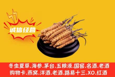 锡林郭勒阿巴嘎旗回收冬虫夏草